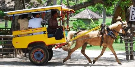 Insulele Gili (Gili) direcții, descrieri, fotografii