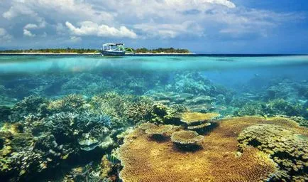 Gili-szigetek (Indonézia) leírása, fotók, vélemények a turisták