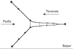 Информация за риболов тройна (крила, фитил ryuzha)