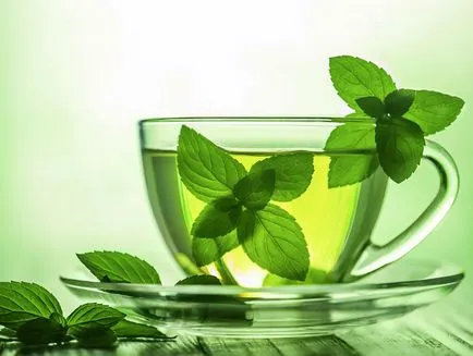 A borsmenta gyógyító tulajdonságai - menta tea előnyei és hátrányai