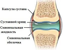 congelate umăr complexe terapie fizică și exercițiile fizice Dr. Popov în tratamentul glenohumerală