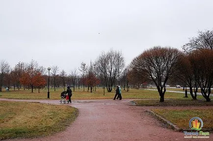 Селекция от най-добрите места и региони сайтове Москва за разходка на кучето