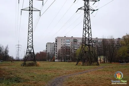 Селекция от най-добрите места и региони сайтове Москва за разходка на кучето