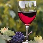 Proprietăți utile de vin roșu - medicul dumneavoastră Aibolit
