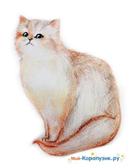 pisica desen Phased cu creioane colorate