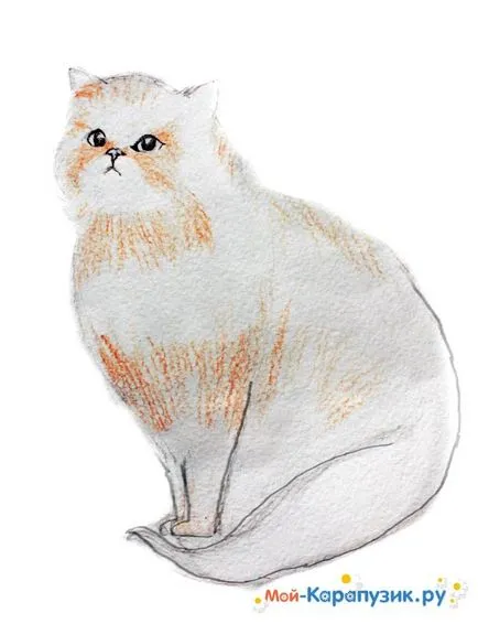 A szakaszos rajz macska színes ceruzák