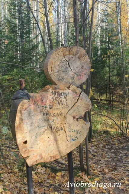 Naturale fluxuri de parc cerb, avtobrodyaga