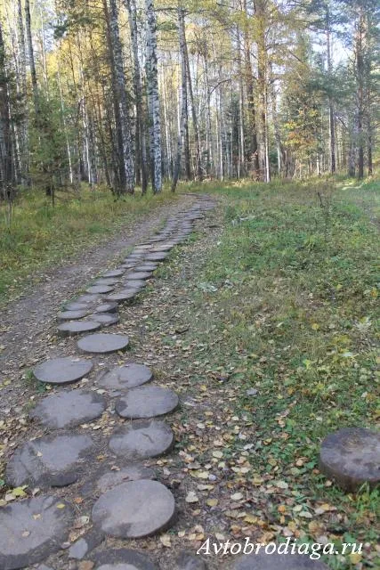 Naturale fluxuri de parc cerb, avtobrodyaga