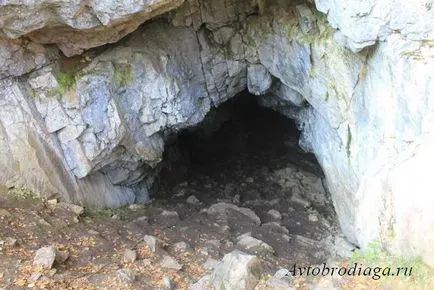 Naturale fluxuri de parc cerb, avtobrodyaga