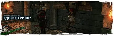 Pasajul de poveste în The Witcher 2 - Capitolul 3