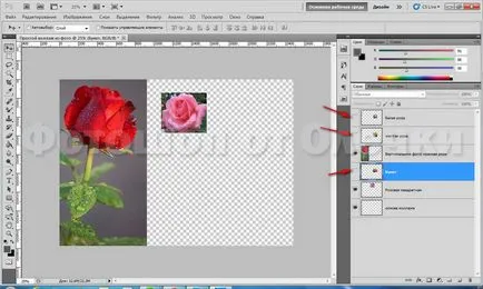 Un colaj simplu de fotografii în Photoshop CS5, Photoshop de Olechka