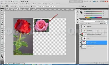 Egy egyszerű kollázs képek a Photoshop CS5, Photoshop Olechka