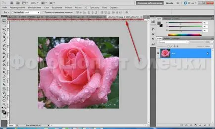 Un colaj simplu de fotografii în Photoshop CS5, Photoshop de Olechka