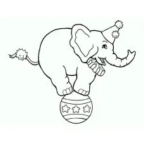 colorat elefant