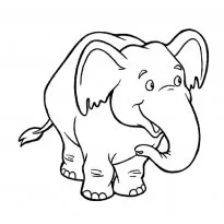 colorat elefant