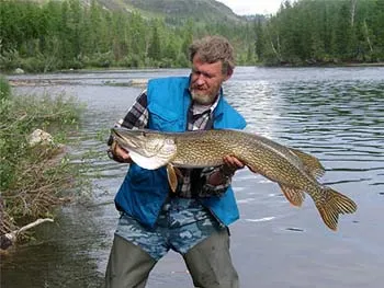 A növény a Altaj (Flóra), állatvilág a Altáj terület, állat-, Barnaul, madarak, állatok, Altáj