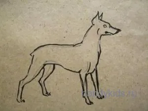 Desenați un caine din rasa Doberman