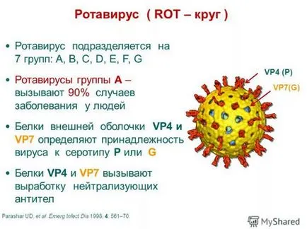 Ротавирус възрастни симптоми, лечение