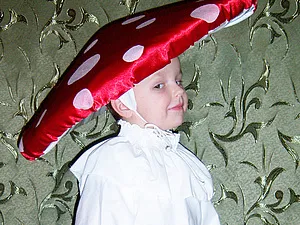 Hat pentru ciuperci (costum de carnaval) - Masters Fair - manual, lucrate manual