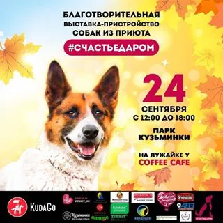 Sheremetyevsky Kennels (@helpdog_ru) - instaliga е най-добрият в Instagram уеб зрителя