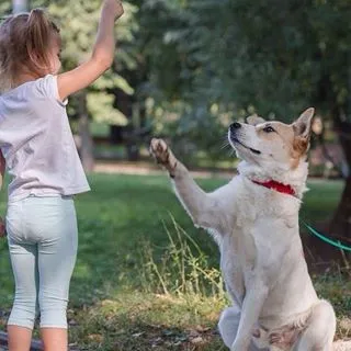 Sheremetyevsky Kennels (@helpdog_ru) - instaliga е най-добрият в Instagram уеб зрителя