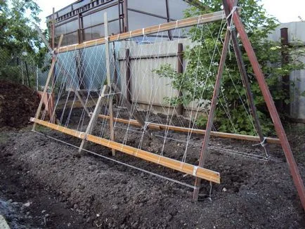 Rácsos uborkára lehetőségeket a kezét, házam