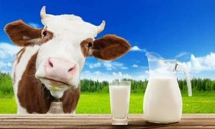La ce varsta poate da lapte de vacă copilului