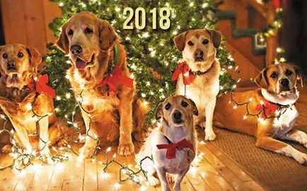 Symbol 2018 Dogs, New year kép