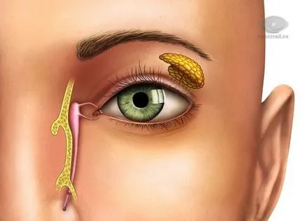 ochii umezi de la un tratament pentru ochi, oftalmologie - Tratament pentru ochi