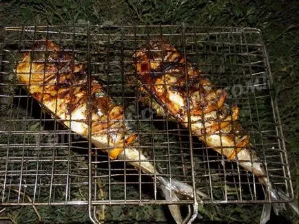 Makréla a grill a grill