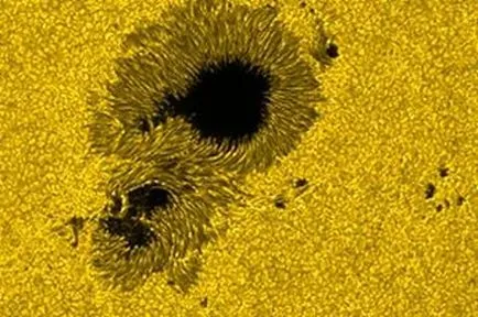 Sunspots - acțiuni de cercetare factori heliogeophysical asupra sistemelor biologice