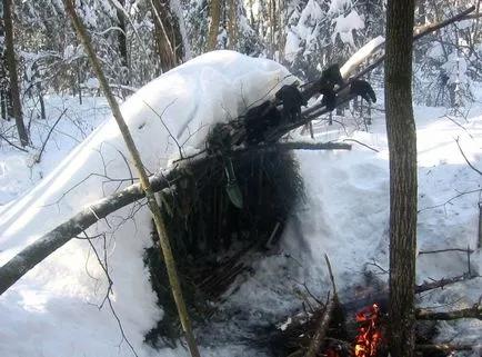 Изграждане на приюти за нощувки в зимната гора - perunitsa