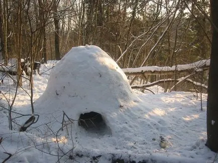 Изграждане на приюти за нощувки в зимната гора - perunitsa