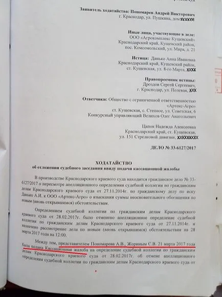 judecător hahaleva și avocat Zhorin