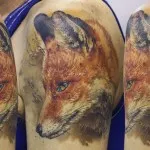 Fox tetoválás a lányok 9 értéket, 78 kép és vázlatok a legjobb