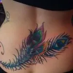 Peacock tatuaj valori 5, 50 fotografii și schițe de cele mai bune