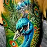 Peacock tatuaj valori 5, 50 fotografii și schițe de cele mai bune