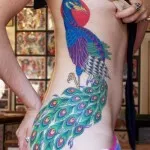 Peacock tatuaj valori 5, 50 fotografii și schițe de cele mai bune