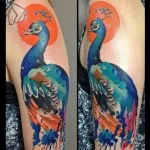 Peacock tatuaj valori 5, 50 fotografii și schițe de cele mai bune