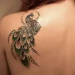 Peacock tatuaj valori 5, 50 fotografii și schițe de cele mai bune