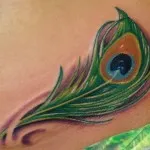 Peacock tatuaj valori 5, 50 fotografii și schițe de cele mai bune