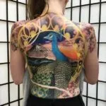 Peacock tatuaj - istorie, semnificație și la această fotografie tatuaj