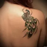 Peacock tatuaj valori 5, 50 fotografii și schițe de cele mai bune