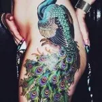 Peacock tatuaj valori 5, 50 fotografii și schițe de cele mai bune