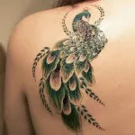 Peacock tatuaj valori 5, 50 fotografii și schițe de cele mai bune