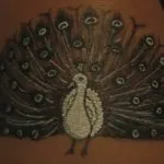 Peacock tatuaj - istorie, semnificație și la această fotografie tatuaj