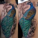 Peacock tatuaj valori 5, 50 fotografii și schițe de cele mai bune