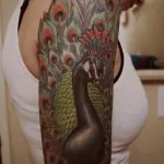 Peacock tatuaj valori 5, 50 fotografii și schițe de cele mai bune