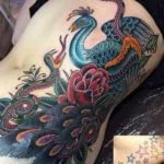 Peacock tatuaj - istorie, semnificație și la această fotografie tatuaj