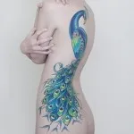 Peacock tatuaj valori 5, 50 fotografii și schițe de cele mai bune